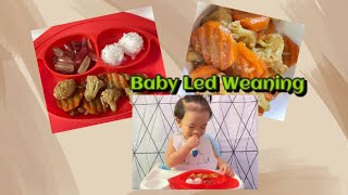 Baby Led Weaning recipes  1 year old  brown sugarglazed carrot w cauliflower carrot recipe blw [upl. by Aneeram]