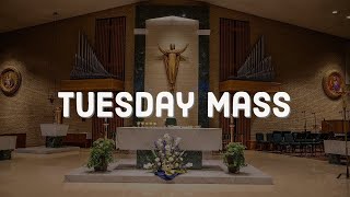 Tuesday Mass 4924 [upl. by Nnaer440]