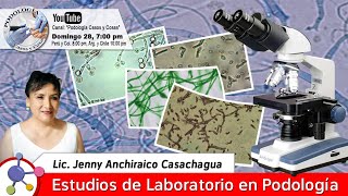 MICOLOGÍA CLÍNICA EN PODOLOGÍA  Lic Jenny Anchiraico  Podología Casos y Cosas [upl. by Aicinoid556]