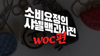 샤넬요정의 샤넬 완벽정리 샤넬 WOC가 뭐길래 이렇게 사기 힘들어요 [upl. by Leler]