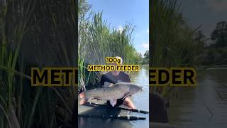 100g Method Feeder methodfeeder carpfish fishing feederfishing karpiarz [upl. by Shuman]