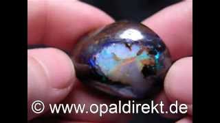 KoroitNut KoroitNuss Opal 001169 s [upl. by Giarla]