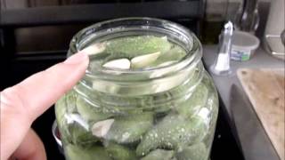 Fermenting Milkweed Pod Pickles [upl. by Sirrah8]