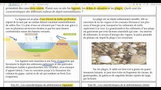 19 La sédimentation lagunaire [upl. by Pelagi869]