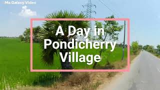 Un Jour dans un Village en Pondicherry tourism village pondicherry travel trending video [upl. by Chan]