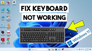 Keyboard Not Working Windows 11  How to Fix Keyboard Keys Not Working Windows 11 [upl. by Eixirt653]