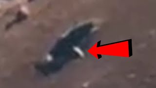 Unbelievable two UFOs emerged from the moon crater [upl. by Ronile613]