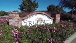 True Blue Golf Club  Hole 1 [upl. by Eiramassenav198]