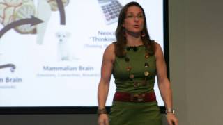 Neuroleadership Presentation by Kristen Hansen [upl. by Blumenfeld]