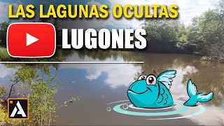 ✅ LAGUNAS ocultas en LUGONES  Asturias [upl. by Aleacin]