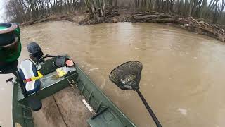 Maumee river walleye run 2023 Ft Migs doing it biggs [upl. by Elletse873]