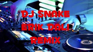 Dj Snake Erik Dalı Remix [upl. by Karalynn667]