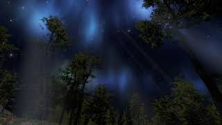 Aurora Lights Cinematic [upl. by Eniloj]