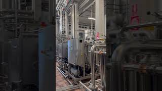 Primary Fermenters of Moscato in Canelli Piemonte domainehelena mtsthelenavineyards [upl. by Elwin]