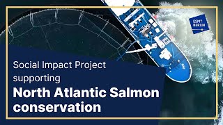 Social Impact Projects at ESMT Berlin Supporting Atlantic Salmon conservation in Iceland [upl. by Terence]