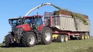 Landwirtschaft auf Gut Hohen Luckow ackern vom FrühjahrHerbst für mehr als 2500 Kühe🐄🌾🐄 [upl. by Bridwell]