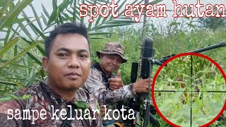 BERBURU AYAM HUTAN  TOUR SAMPE KELUAR KOTA  SIANTAR TANAH JAWA [upl. by Maurili]