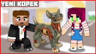 BAŞKAN ALİ AİLESİNİN KÖPEĞİ OLDU 🐺  Minecraft ZENGİN FAKİR HAYATI [upl. by Carlynne257]