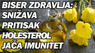 ZLATNA TRAVA ČISTI KRVNE SUDOVE I BUBREGE JAČA SRCE I KOSTI  Dr Mihajlović [upl. by Aggarwal]