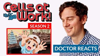 Real Doctor Reacts to CELLS AT WORK  Season 2 Episode 1  quotBumpquot [upl. by Halbert349]