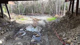 Springbrook and under Bridge [upl. by Maximilianus493]