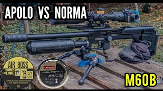 M60B PROBANDO GRUPOS APOLO VS NORMA SNOWPEACK  CAZA  BIOBIO  CANAL PUNTO 22 [upl. by Treve680]