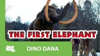 Dino Dana  The First Elephant  Episode Promo  Michela Luci Saara Chaudry [upl. by Zuckerman]