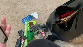 What’s In My Handbag [upl. by Denni]