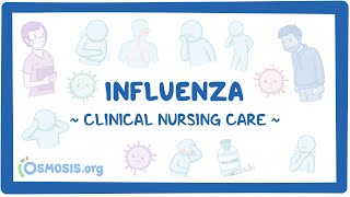 Influenza Clinical Nursing Care [upl. by Aihsekat]