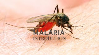 1MALARIA INTRODUCTION [upl. by Cousin]