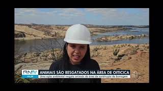 PROGRAMA DE RESGATE DE FAUNA DA BARRAGEM DE OITICICA [upl. by Hetti]