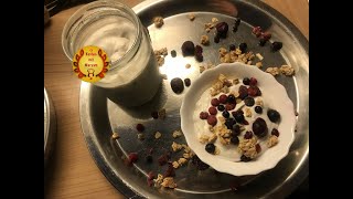 Probiotischer Joghurt aus Kokosmilch und Hafermilch [upl. by Ahsehat]