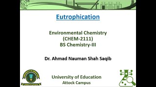 Eutrophication Process  a Comprehensive Overview [upl. by Ahsenahs]