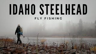 Fly Fishing Van Trip for Fall Steelhead in Idaho [upl. by Marchal]