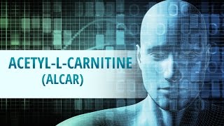 AcetylLCarnitine ALCAR [upl. by Yeltnerb]