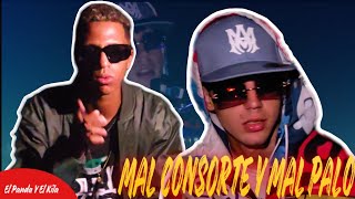 Mal Consorte Y Mal PaloEl Panda❌El Kilaoficial video [upl. by Adabelle]