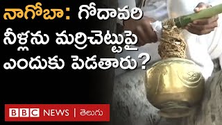 Nagoba Jatara గోదావరి నీళ్లను మర్రిచెట్టుపై ఎందుకు పెడతారు నాగోబా జాతర ప్రత్యేకతలు  BBC Telugu [upl. by Adyht102]