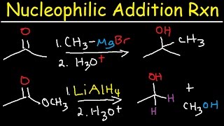 Nucleophilic Addition Reaction Mechanism Grignard Reagent NaBH4 LiAlH4 Imine Enamine Reduction [upl. by Anbul847]