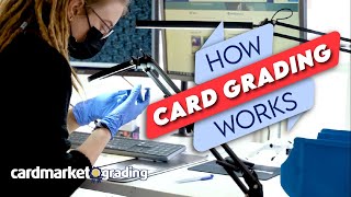 Card Grading Behind the Scenes [upl. by Stambaugh]