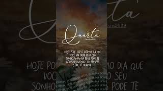 bomdia gratificante music frases mensagem grata gratidao [upl. by Ambros12]