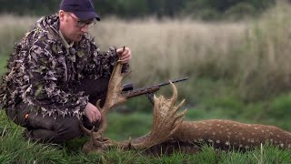 HUNT FOR MEDAL FALLOW DEER  Big fallow deer shot by Adam Andersson [upl. by Chancellor]