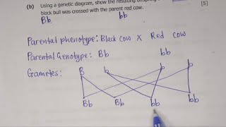 G12 BIOLOGY PAPER 2 2017 GCE GENETIC DIAGRAM Q5 [upl. by Myranda]