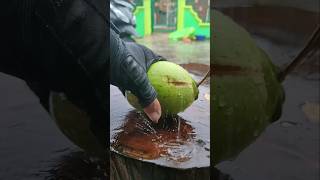 Rain and young coconut cutting skills asmr shortvideo [upl. by Basil789]