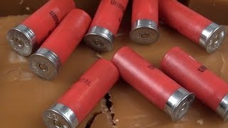 12 Gauge Birdshot For Home Defense [upl. by Radferd633]