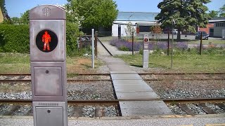 Spoorwegovergang Maribo DK  Railroad crossing  Jernbaneoverskæring [upl. by Elok]