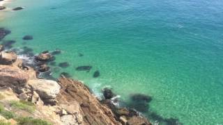 Great white shark chasing seals off Robberg Plettenberg Bay South Africa [upl. by Torres]