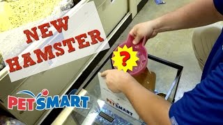 GETTING MY NEW HAMSTER AT PETSMART [upl. by Cristie]