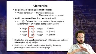 Difference Among Morpheme Morph and Allomorph l Morphine l Morph l Allomorph l ctms family l [upl. by Nollahs]