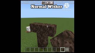 Wither Titan in Minecraft NoMods [upl. by Repip870]