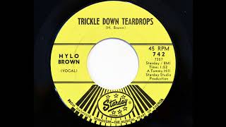 Hylo Brown Trickle Down Teardrops Starday 742 [upl. by Ferne]